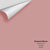 Digital color swatch of Benjamin Moore's Amaryllis 1256 Peel & Stick Sample available at Regal Paint Centers in MD & VA.