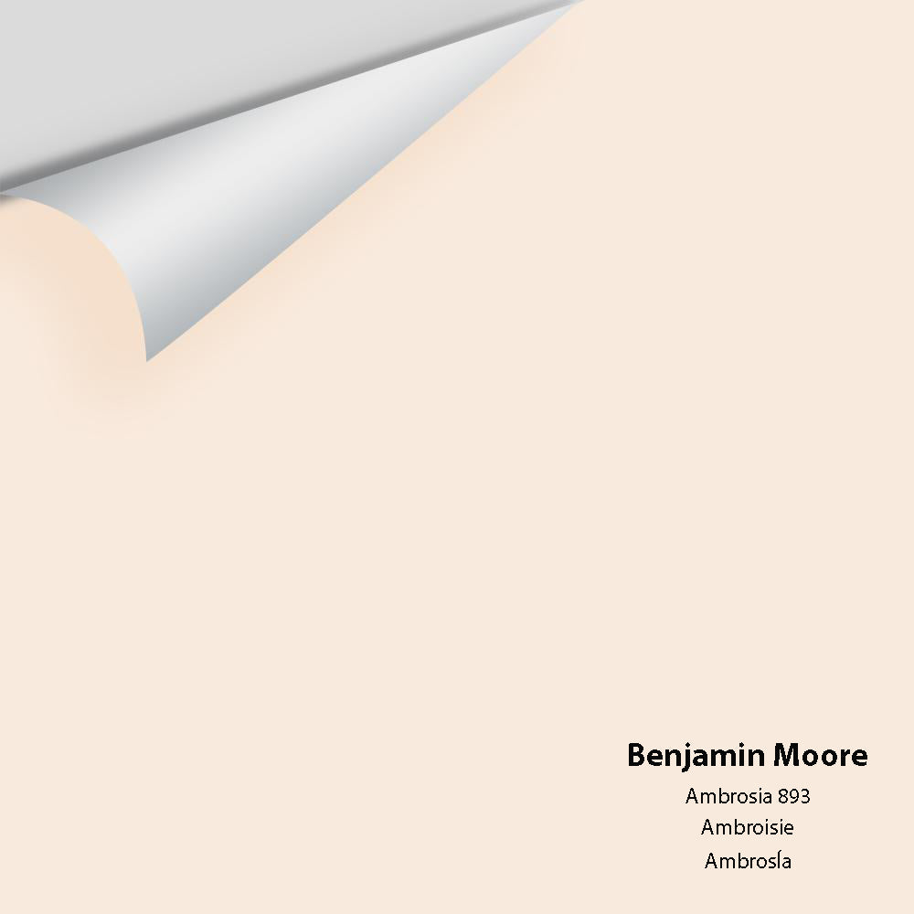 Digital color swatch of Benjamin Moore's Ambrosia 893 Peel & Stick Sample available at Regal Paint Centers in MD & VA.
