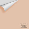 Digital color swatch of Benjamin Moore's Apricot Beige 1205 Peel & Stick Sample available at Regal Paint Centers in MD & VA.