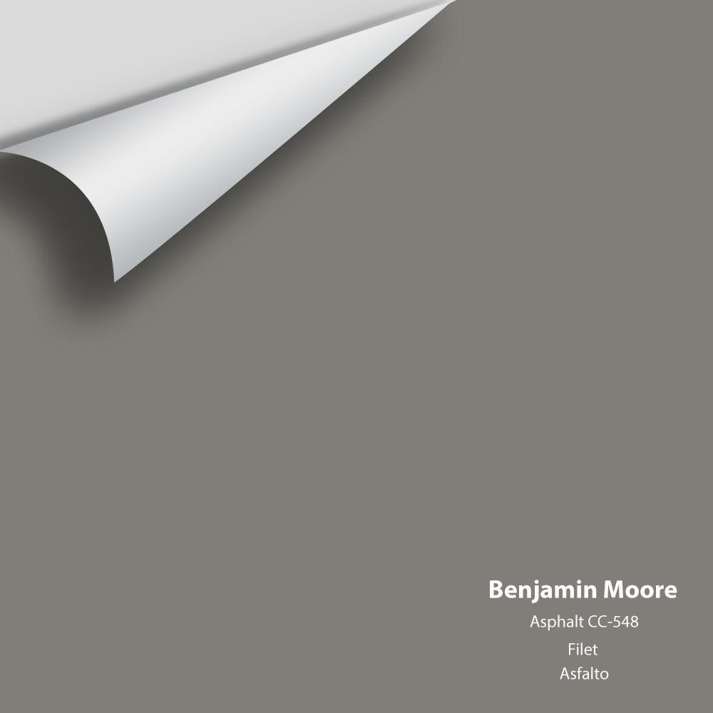 Digital color swatch of Benjamin Moore's Asphalt CC-548 Peel & Stick Sample available at Regal Paint Centers in MD & VA.