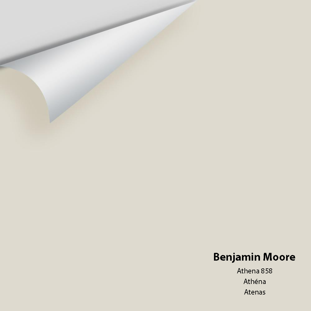 Digital color swatch of Benjamin Moore's Athena 858 Peel & Stick Sample available at Regal Paint Centers in MD & VA.