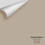 Digital color swatch of Benjamin Moore's Baja Dunes 997 Peel & Stick Sample available at Regal Paint Centers in MD & VA.