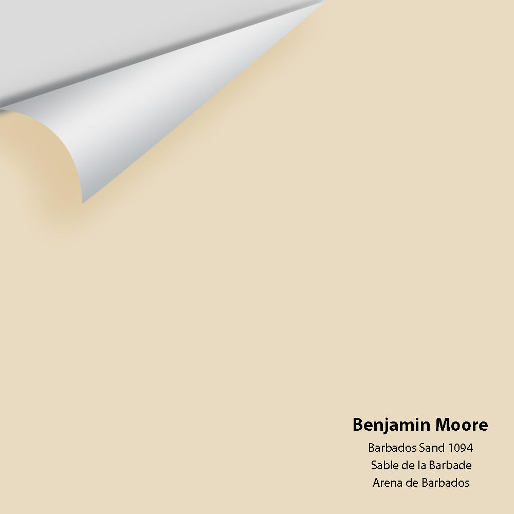 Digital color swatch of Benjamin Moore's Barbados Sand 1094 Peel & Stick Sample available at Regal Paint Centers in MD & VA.