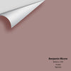 Digital color swatch of Benjamin Moore's Barberry 1244 Peel & Stick Sample available at Regal Paint Centers in MD & VA.