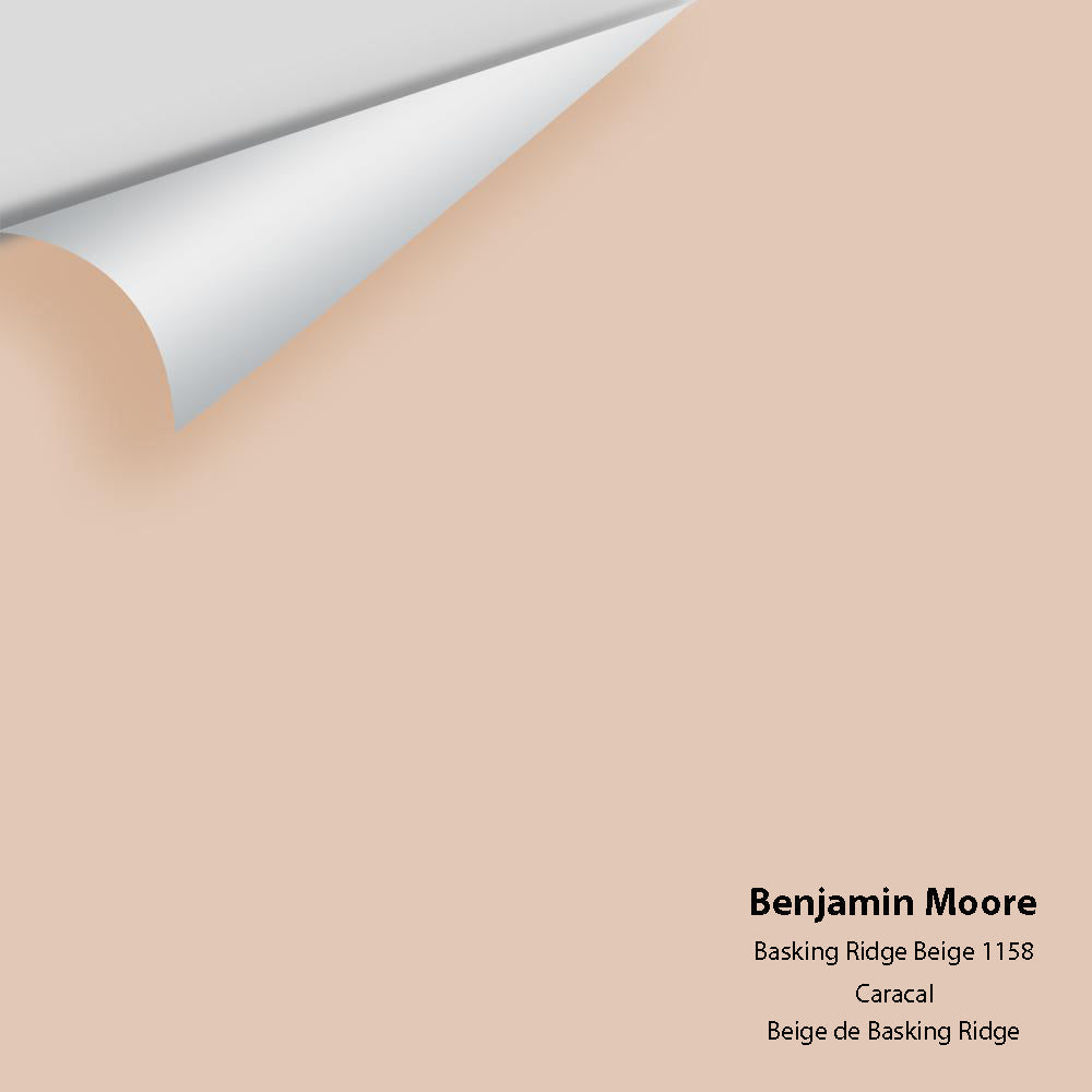 Digital color swatch of Benjamin Moore's Basking Ridge Beige 1158 Peel & Stick Sample available at Regal Paint Centers in MD & VA.