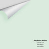 Digital color swatch of Benjamin Moore's Bath Salts 624 Peel & Stick Sample available at Regal Paint Centers in MD & VA.