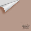 Digital color swatch of Benjamin Moore's Baywood Brown 1234 Peel & Stick Sample available at Regal Paint Centers in MD & VA.