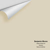 Digital color swatch of Benjamin Moore's Berber White 955 Peel & Stick Sample available at Regal Paint Centers in MD & VA.