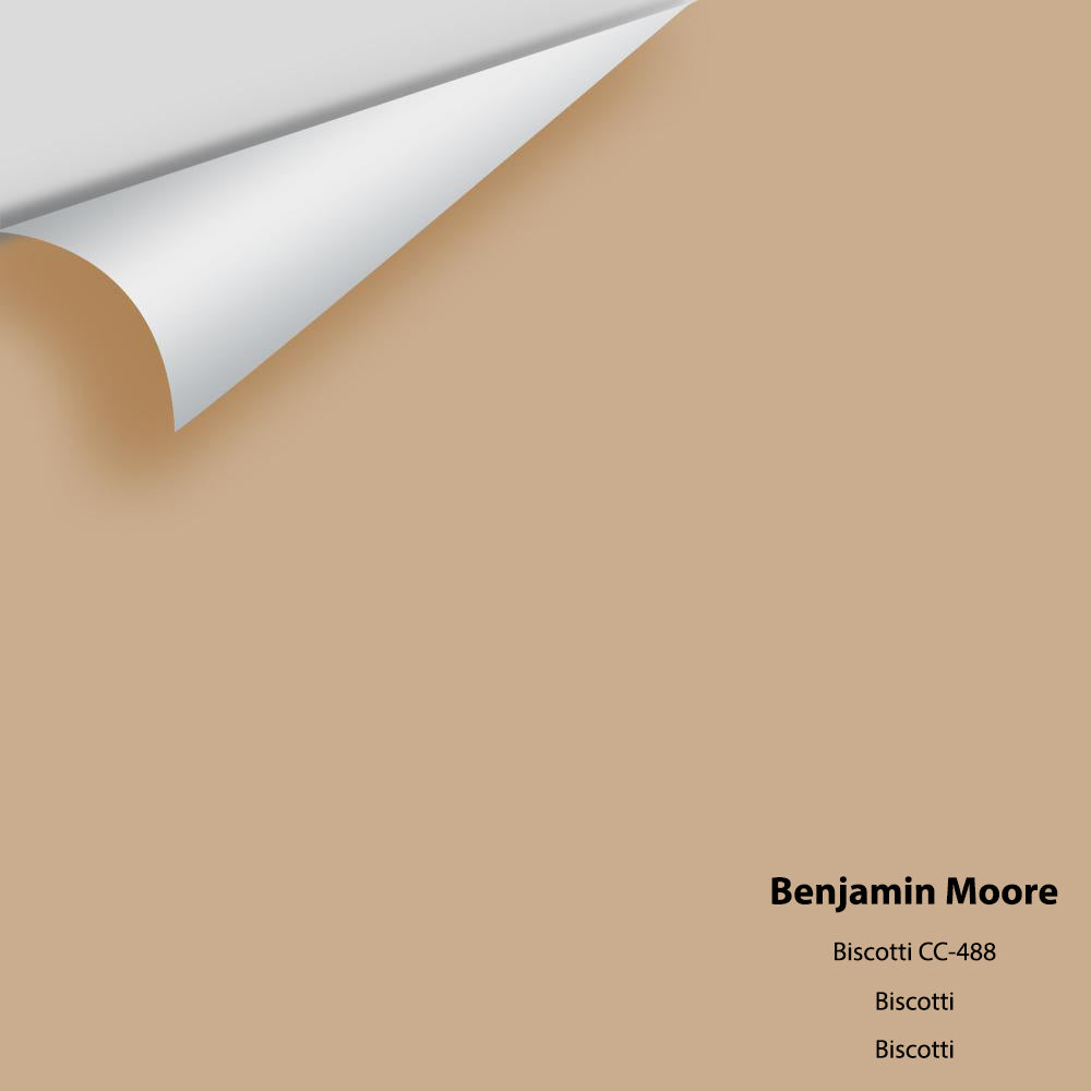 Digital color swatch of Benjamin Moore's Biscotti CC-488 Peel & Stick Sample available at Regal Paint Centers in MD & VA.