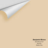 Digital color swatch of Benjamin Moore's Blond Wood 1067 Peel & Stick Sample available at Regal Paint Centers in MD & VA.