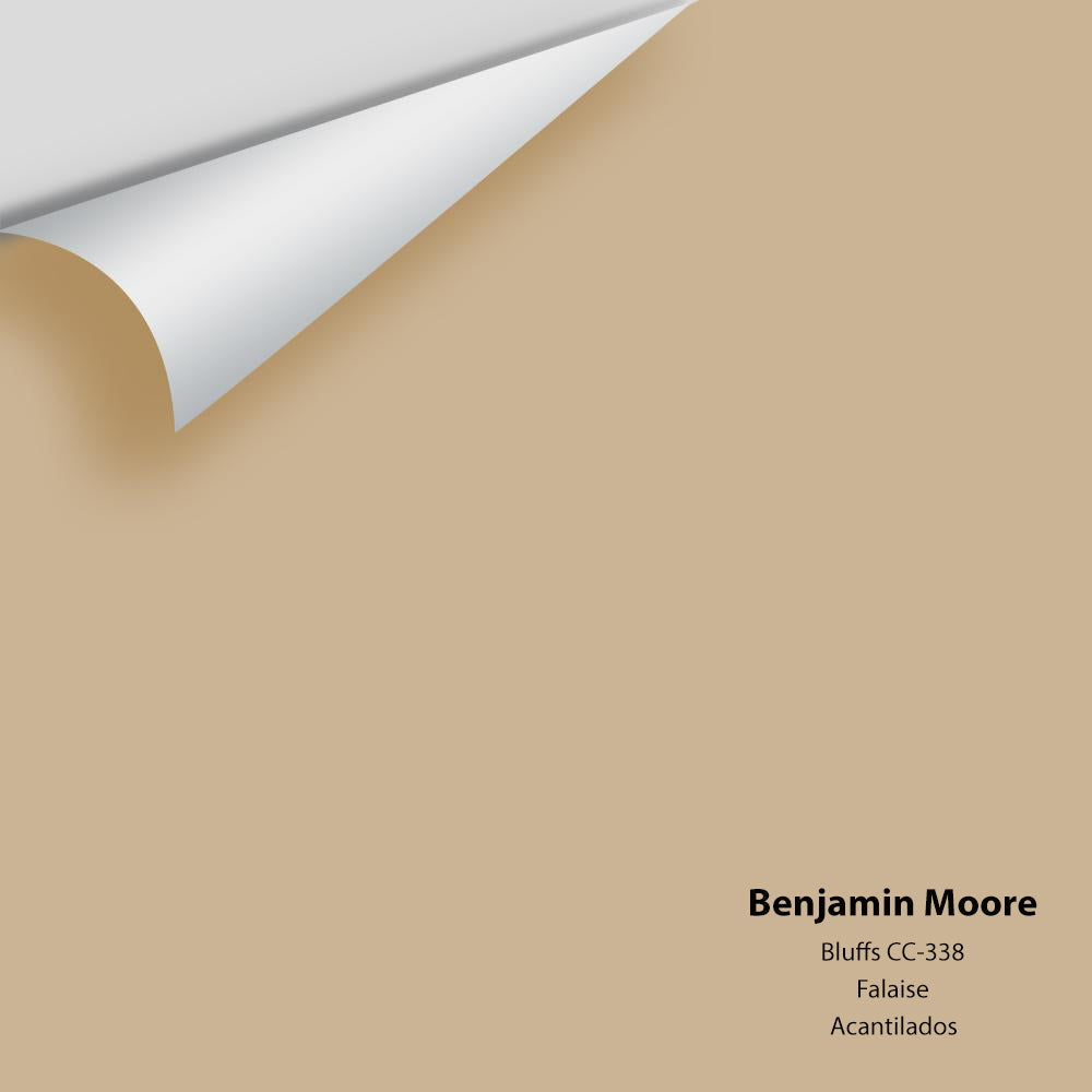 Digital color swatch of Benjamin Moore's Bluffs CC-338 Peel & Stick Sample available at Regal Paint Centers in MD & VA.