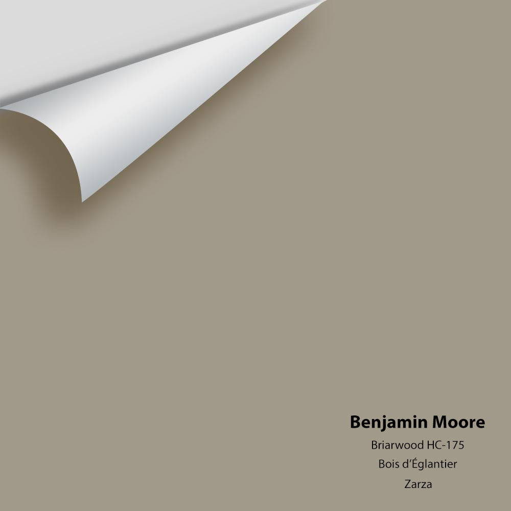 Digital color swatch of Benjamin Moore's Briarwood HC-175 Peel & Stick Sample available at Regal Paint Centers in MD & VA.