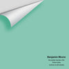 Digital color swatch of Benjamin Moore's Brookdale Gardens 599 Peel & Stick Sample available at Regal Paint Centers in MD & VA.