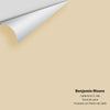 Digital color swatch of Benjamin Moore's Cable Knit CC-306 Peel & Stick Sample available at Regal Paint Centers in MD & VA.