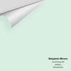 Digital color swatch of Benjamin Moore's Carried Away 849 Peel & Stick Sample available at Regal Paint Centers in MD & VA.