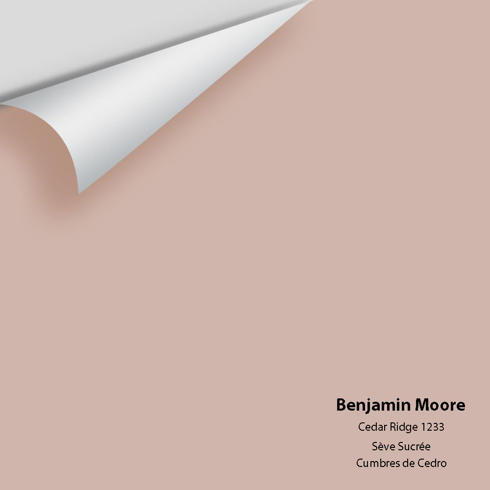 Digital color swatch of Benjamin Moore's Cedar Ridge 1233 Peel & Stick Sample available at Regal Paint Centers in MD & VA.