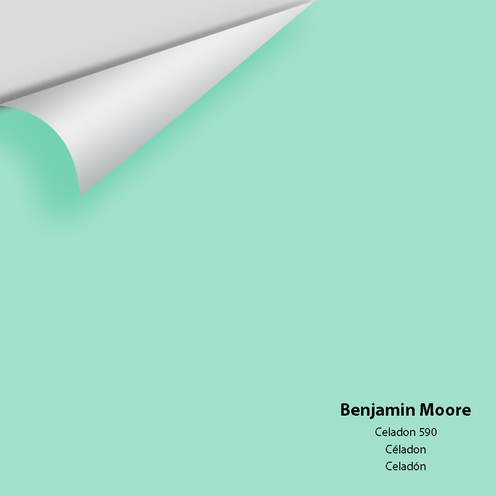 Digital color swatch of Benjamin Moore's Celadon 590 Peel & Stick Sample available at Regal Paint Centers in MD & VA.