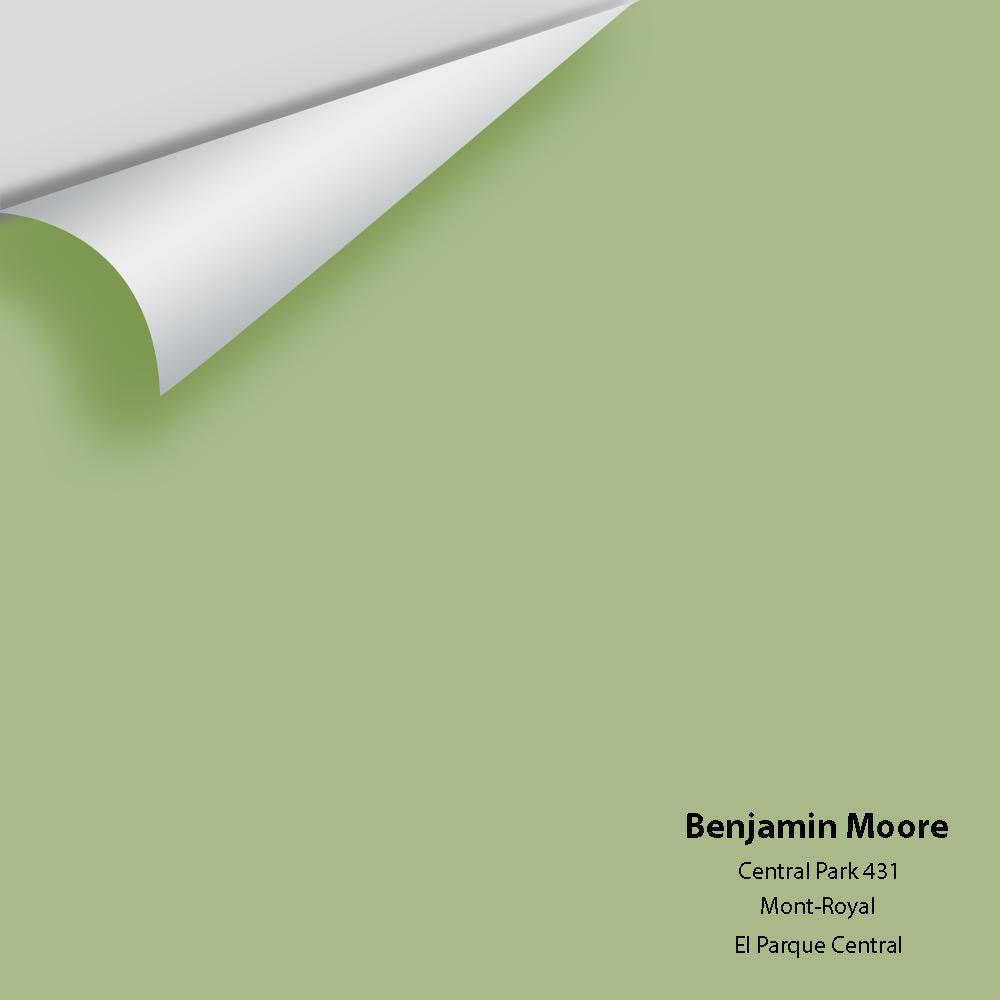 Digital color swatch of Benjamin Moore's Central Park 431 Peel & Stick Sample available at Regal Paint Centers in MD & VA.