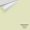 Digital color swatch of Benjamin Moore's Chameleon 526 Peel & Stick Sample available at Regal Paint Centers in MD & VA.