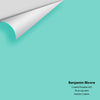 Digital color swatch of Benjamin Moore's Coastal Paradise 655 Peel & Stick Sample available at Regal Paint Centers in MD & VA.