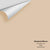 Digital color swatch of Benjamin Moore's Cocoa Sand 1122 Peel & Stick Sample available at Regal Paint Centers in MD & VA.