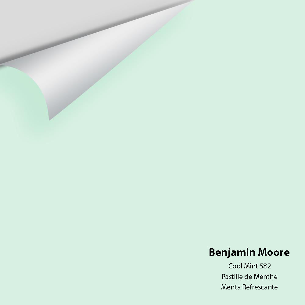 Digital color swatch of Benjamin Moore's Cool Mint 582 Peel & Stick Sample available at Regal Paint Centers in MD & VA.