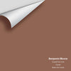 Digital color swatch of Benjamin Moore's Coyote Trail 1224 Peel & Stick Sample available at Regal Paint Centers in MD & VA.