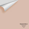 Digital color swatch of Benjamin Moore's Crossroads 1226 Peel & Stick Sample available at Regal Paint Centers in MD & VA.