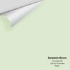 Digital color swatch of Benjamin Moore's Cucumber 428 Peel & Stick Sample available at Regal Paint Centers in MD & VA.