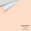 Digital color swatch of Benjamin Moore's Daytona Peach 79 Peel & Stick Sample available at Regal Paint Centers in MD & VA.