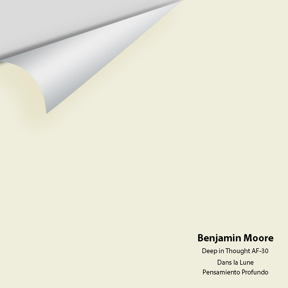 Digital color swatch of Benjamin Moore's Deep in Thought AF-30 Peel & Stick Sample available at Regal Paint Centers in MD & VA.