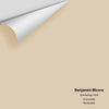 Digital color swatch of Benjamin Moore's Everlasting 1038 Peel & Stick Sample available at Regal Paint Centers in MD & VA.