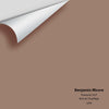 Digital color swatch of Benjamin Moore's Firewood 1027 Peel & Stick Sample available at Regal Paint Centers in MD & VA.