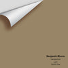 Digital color swatch of Benjamin Moore's Free Spirit 245 Peel & Stick Sample available at Regal Paint Centers in MD & VA.