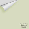 Digital color swatch of Benjamin Moore's Glazed Green 499 Peel & Stick Sample available at Regal Paint Centers in MD & VA.