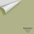 Digital color swatch of Benjamin Moore's Grasslands 502 Peel & Stick Sample available at Regal Paint Centers in MD & VA.