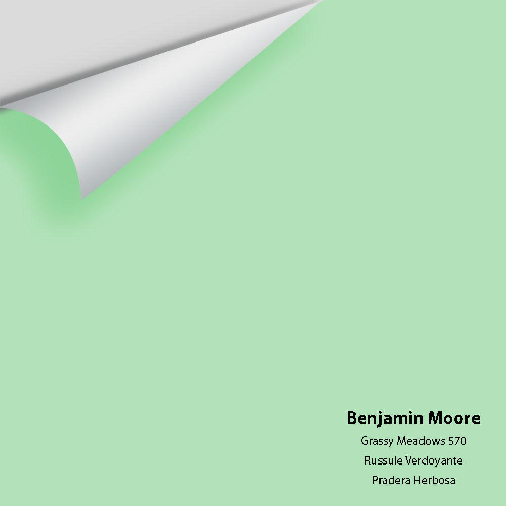 Digital color swatch of Benjamin Moore's Grassy Meadows 570 Peel & Stick Sample available at Regal Paint Centers in MD & VA.