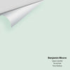 Digital color swatch of Benjamin Moore's Green Cast 842 Peel & Stick Sample available at Regal Paint Centers in MD & VA.