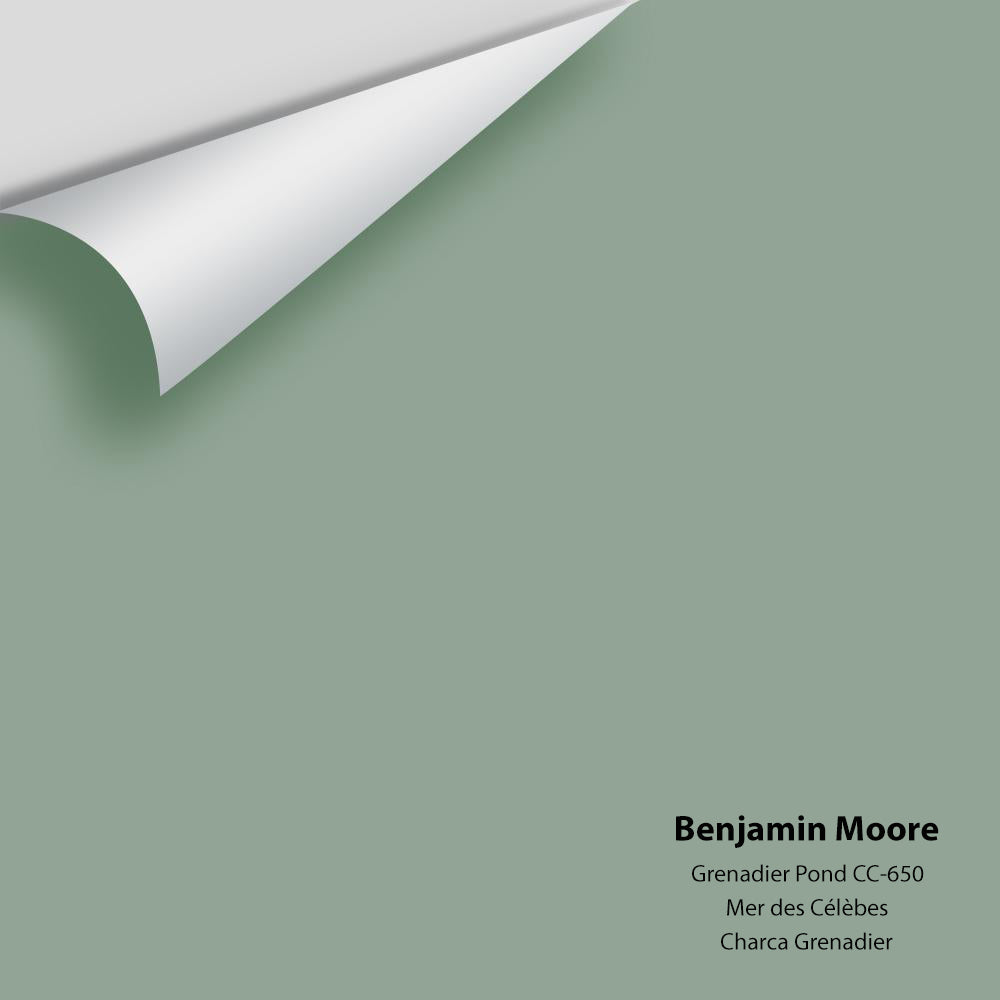 Digital color swatch of Benjamin Moore's Grenadier Pond 698 Peel & Stick Sample available at Regal Paint Centers in MD & VA.