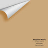 Digital color swatch of Benjamin Moore's Guesthouse 1117 Peel & Stick Sample available at Regal Paint Centers in MD & VA.