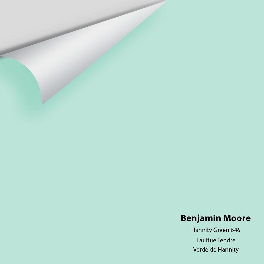 Digital color swatch of Benjamin Moore's Hannity Green 646 Peel & Stick Sample available at Regal Paint Centers in MD & VA.