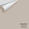 Digital color swatch of Benjamin Moore's Hazlewood 1005 Peel & Stick Sample available at Regal Paint Centers in MD & VA.