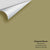 Digital color swatch of Benjamin Moore's Hiking Path 524 Peel & Stick Sample available at Regal Paint Centers in MD & VA.