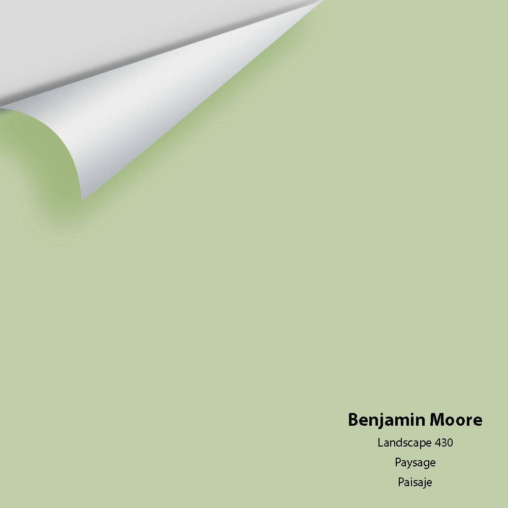 Digital color swatch of Benjamin Moore's Landscape 430 Peel & Stick Sample available at Regal Paint Centers in MD & VA.