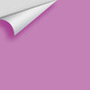 Digital color swatch of Benjamin Moore's Lilac Pink 2074-40 Peel & Stick Sample available at Regal Paint Centers in MD & VA.