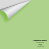 Digital color swatch of Benjamin Moore's Lime Twist 425 Peel & Stick Sample available at Regal Paint Centers in MD & VA.