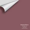 Digital color swatch of Benjamin Moore's Love Affair 1266 Peel & Stick Sample available at Regal Paint Centers in MD & VA.