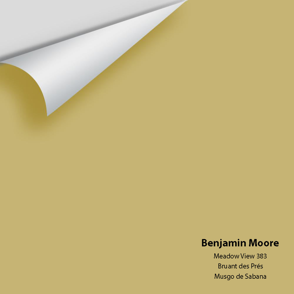 Digital color swatch of Benjamin Moore's Meadow View 383 Peel & Stick Sample available at Regal Paint Centers in MD & VA.