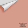 Digital color swatch of Benjamin Moore's Mesa Peach 1200 Peel & Stick Sample available at Regal Paint Centers in MD & VA.