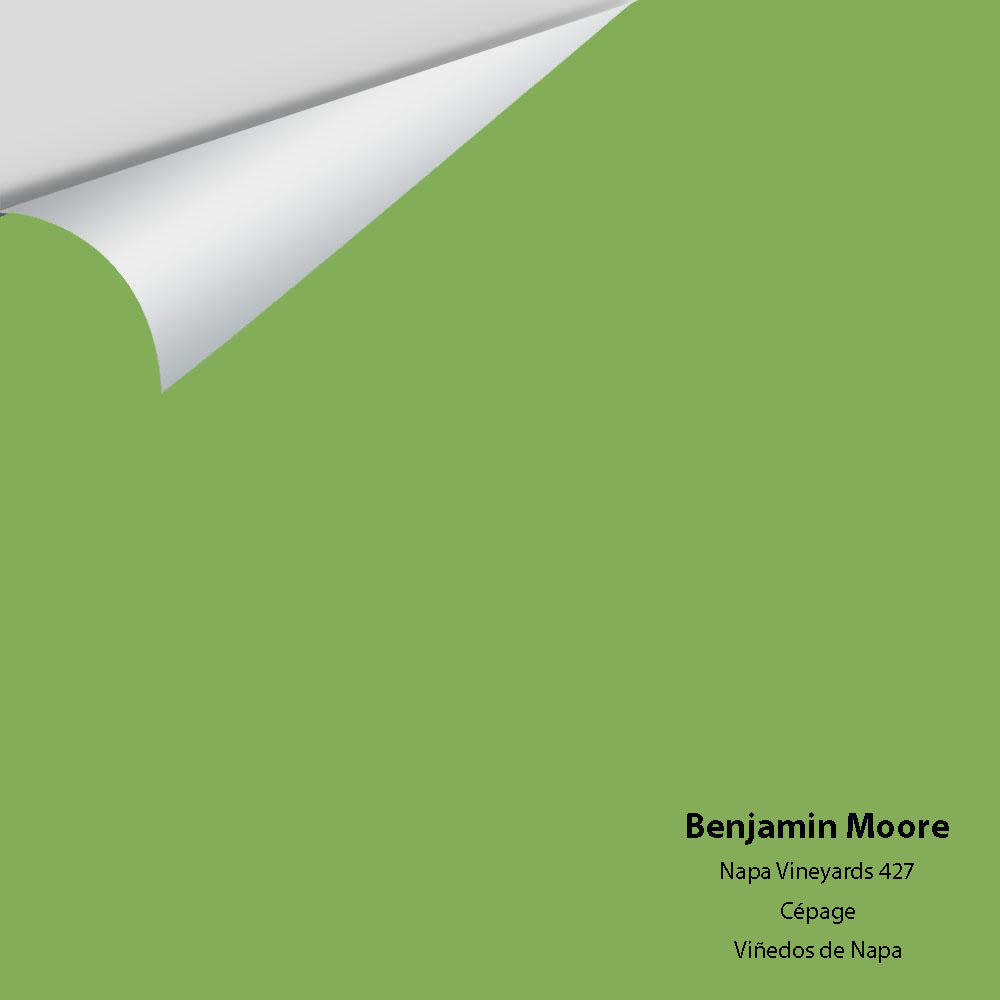 Digital color swatch of Benjamin Moore's Napa Vineyards 427 Peel & Stick Sample available at Regal Paint Centers in MD & VA.